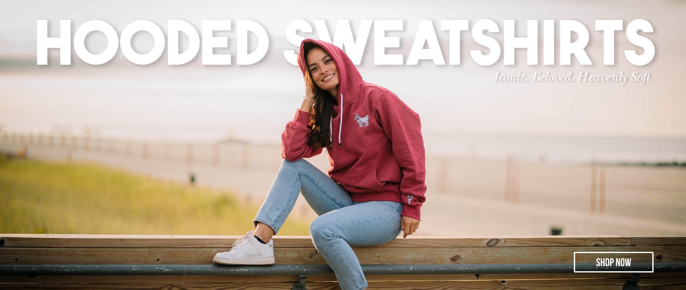 Girl sitting on railing in front of beach wearing sweatshirt linked to Sweatshirts