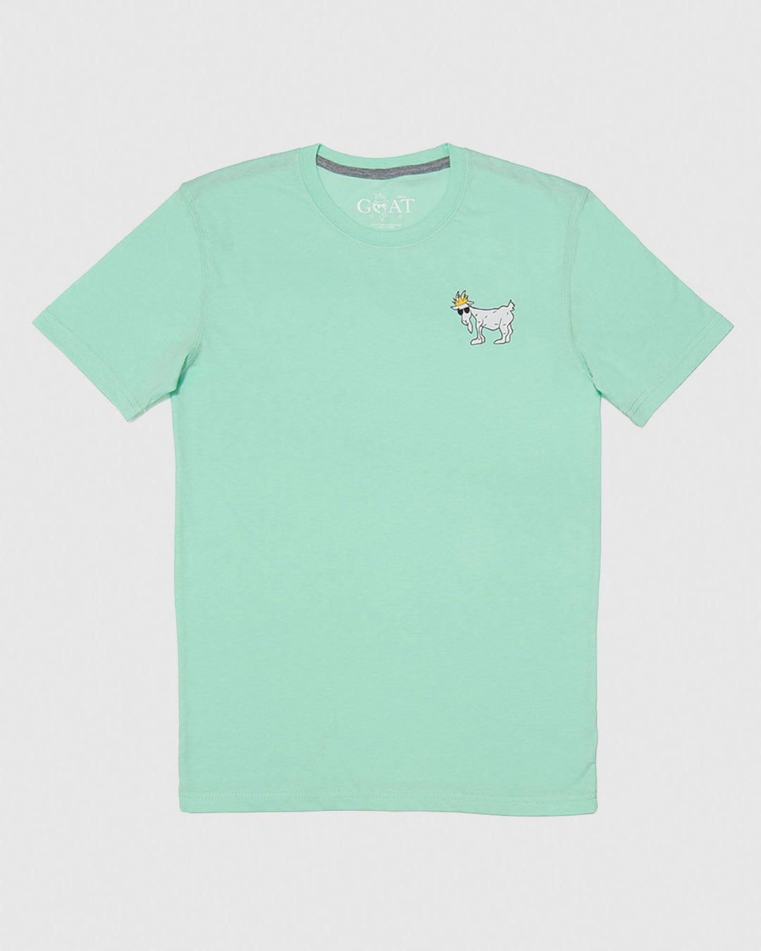 Front of mint WG T-Shirt#color_mint
