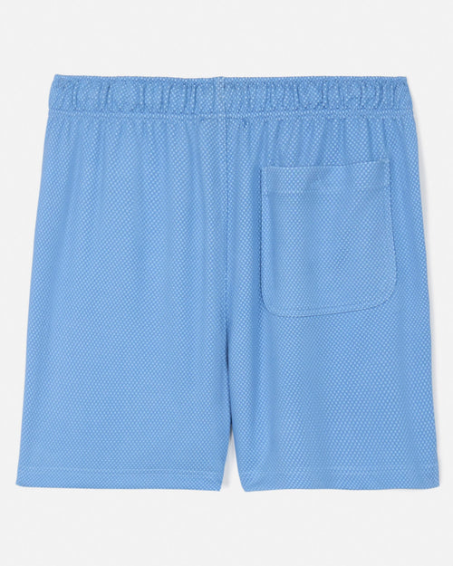 Back of carolina blue men's dot mesh shorts