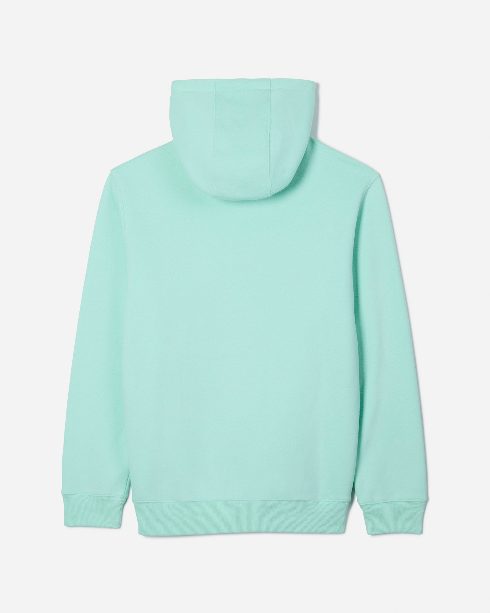 Back of mint-colored hooded sweatshirt