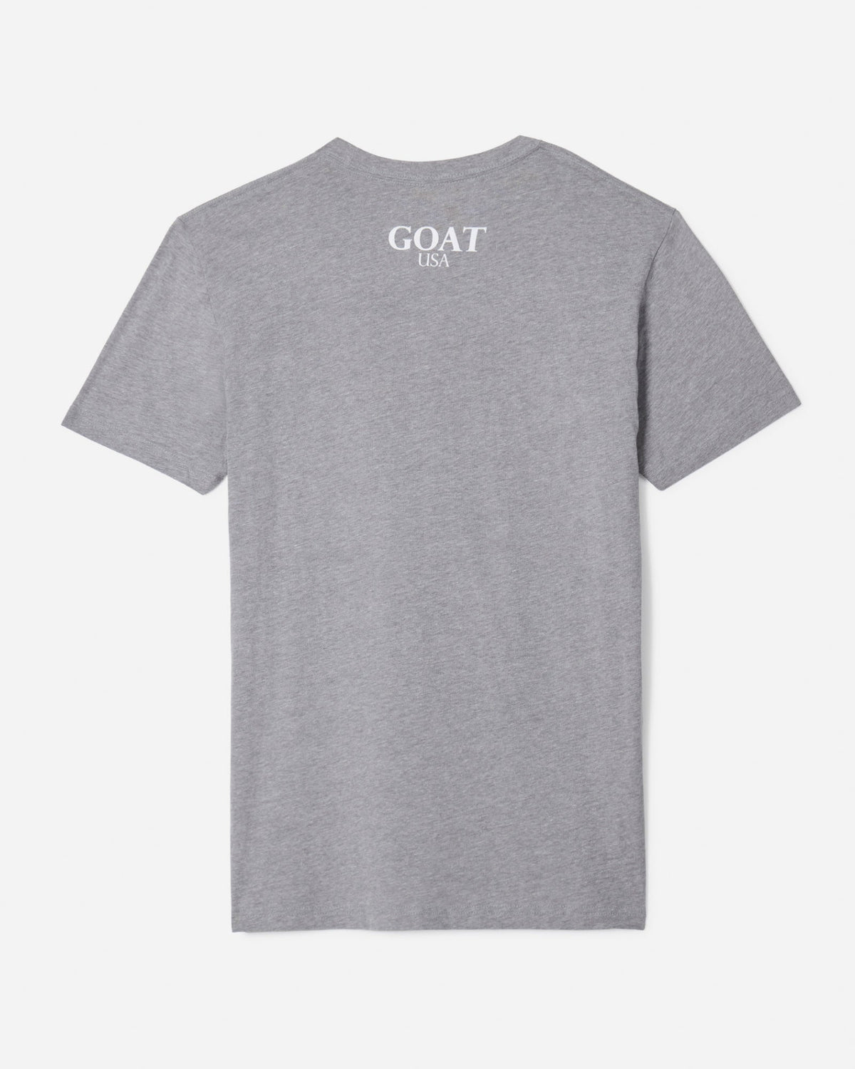 Back of gray Freedom T-Shirt