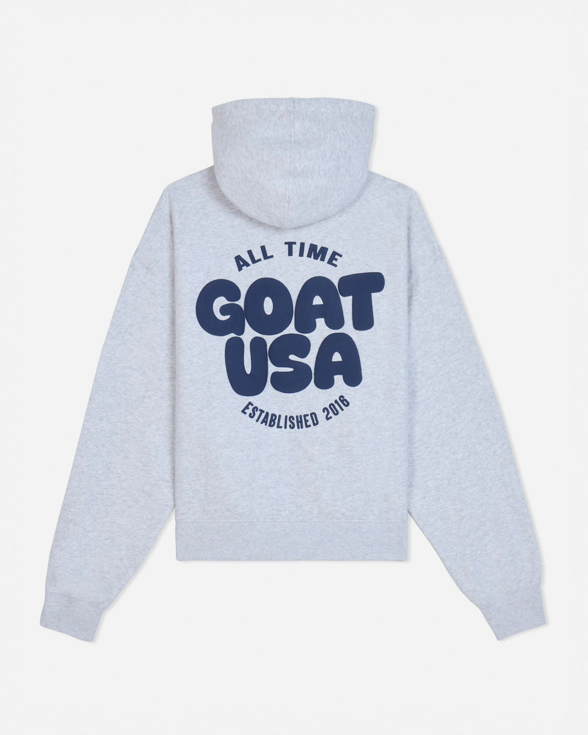 Back of gray hoodie with 'ALL TIME GOAT USA ESTABLISHED 2016' text#color_pale-gray