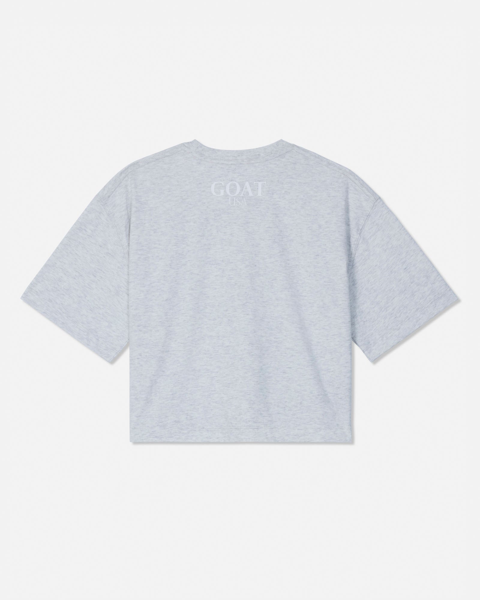 A light heather gray short-sleeve t-shirt shown from the back, featuring the word 'GOAT USA' printed in a subtle, tonal serif font across the upper back. The t-shirt is displayed flat against a clean, off-white background.#color_pale-gray