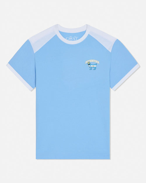 Light blue t-shirt with white and light blue sleeves on a white background