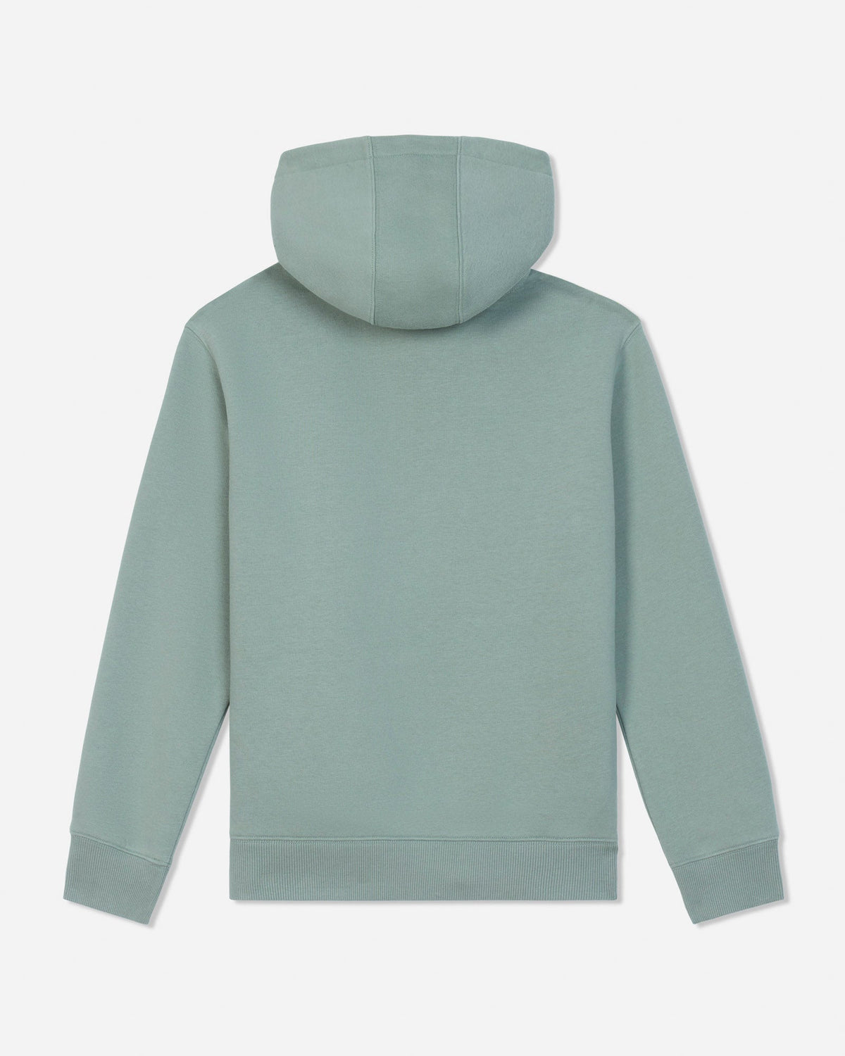 A sage green hooded sweatshirt shown from the back, featuring a solid color with ribbed cuffs and hem, set against a light gray background.