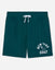 Front of sage french terry shorts#color_sage