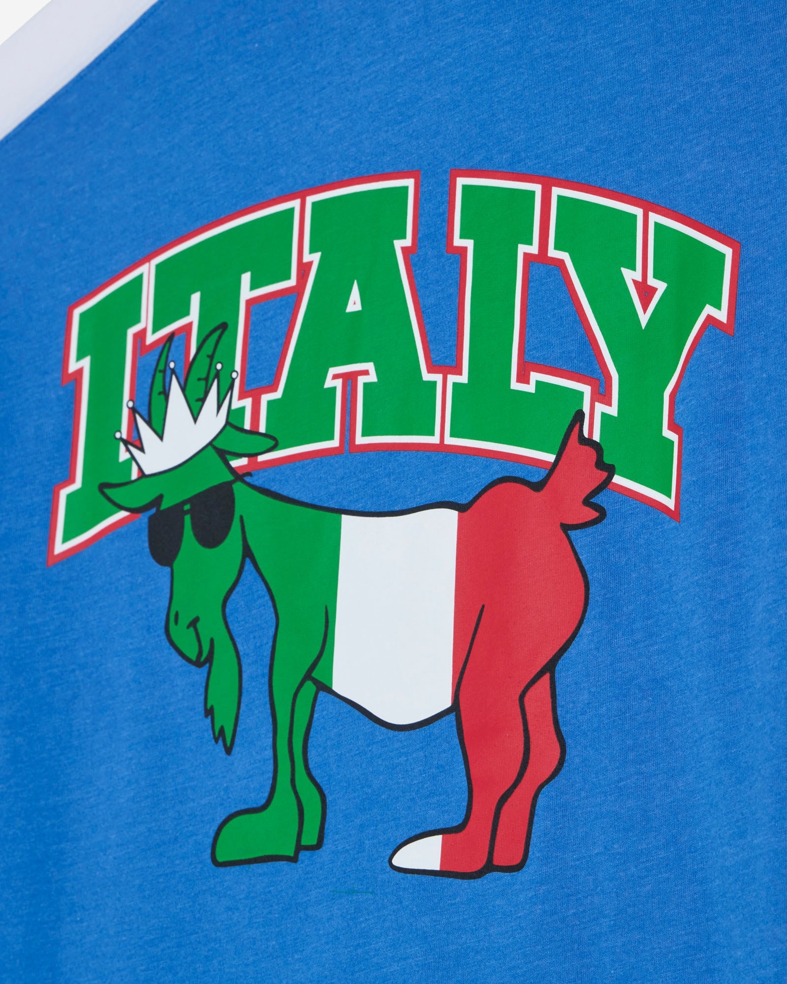 Cartoon goat with Italian flag colors and 'ITALY' text on a blue background