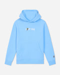A light blue pullover hoodie with a white 'GOAT USA' graphic and bee logo on the chest, and a small matching bee logo on the left sleeve, shown against a light gray background.