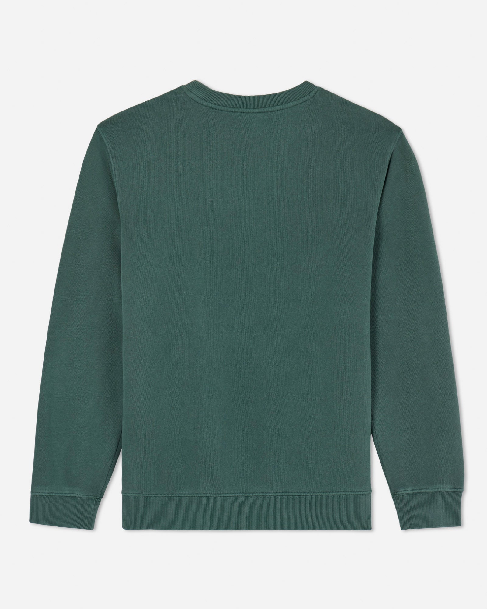 Back of alpine Linden Crewneck Sweatshirt#color_alpine