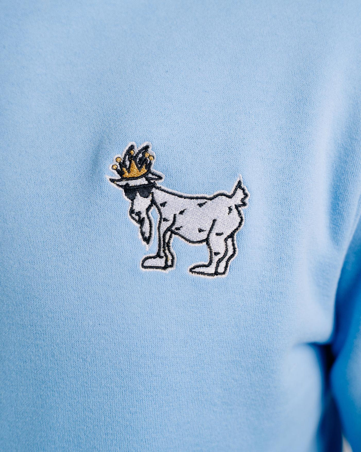 Close-up of logo on carolina blue WG Hooded Sweatshirt