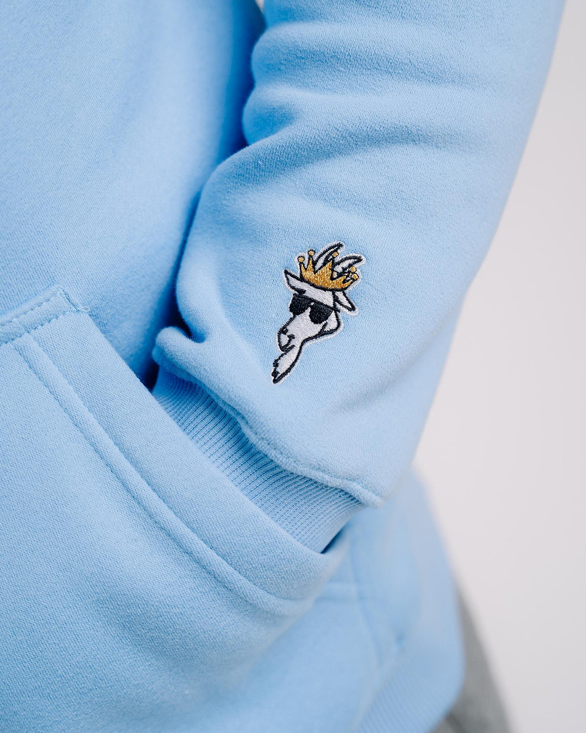 Close-up of sleeve logo embroidery on the carolina blue WG Hooded Sweatshirt