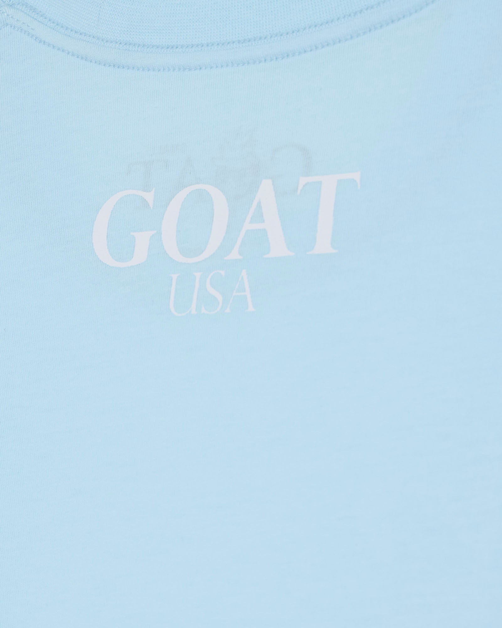 Light blue shirt with 'GOAT USA' text on a light blue background#color_delicate-blue
