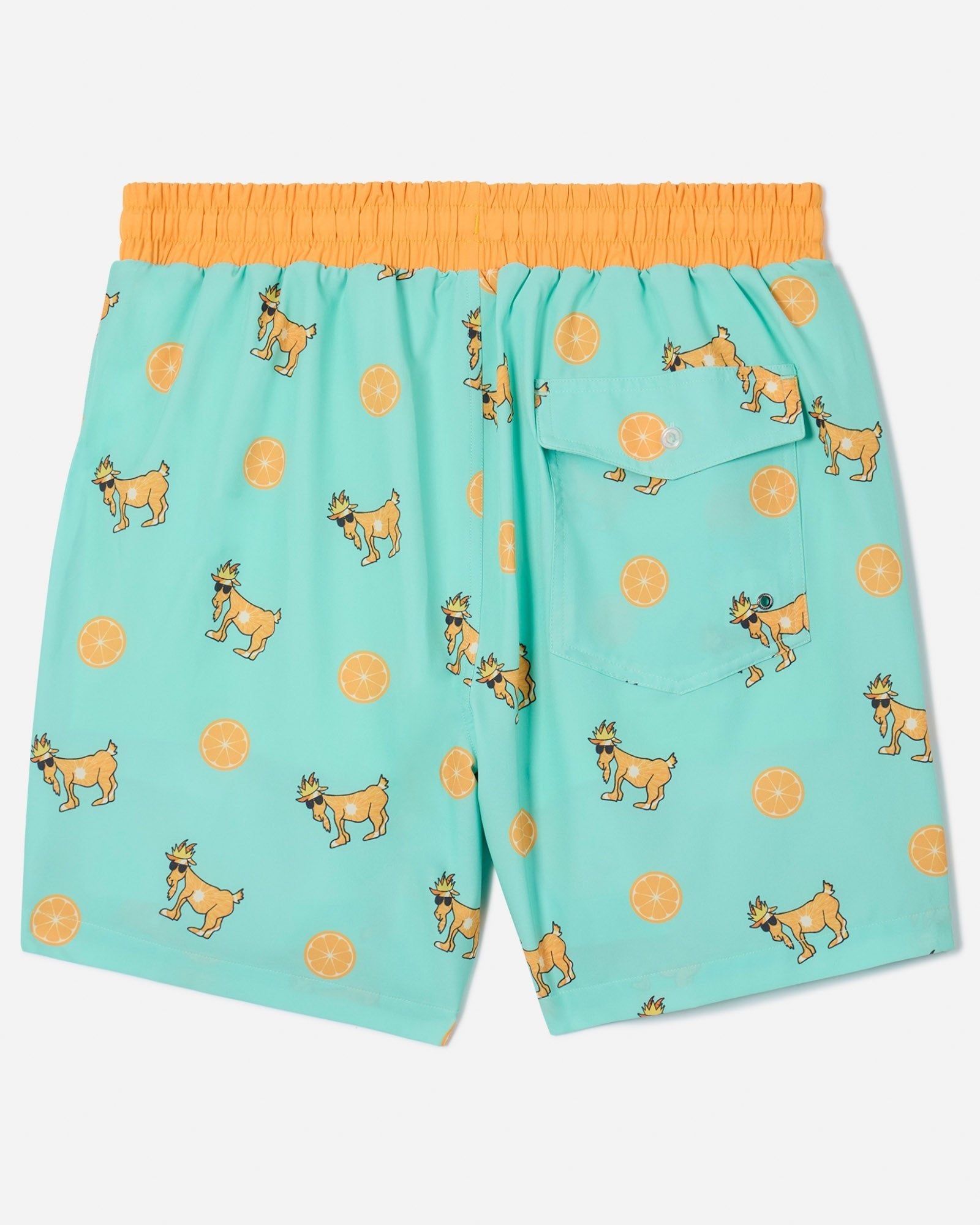 Back of Orange (fruit) bathing suit