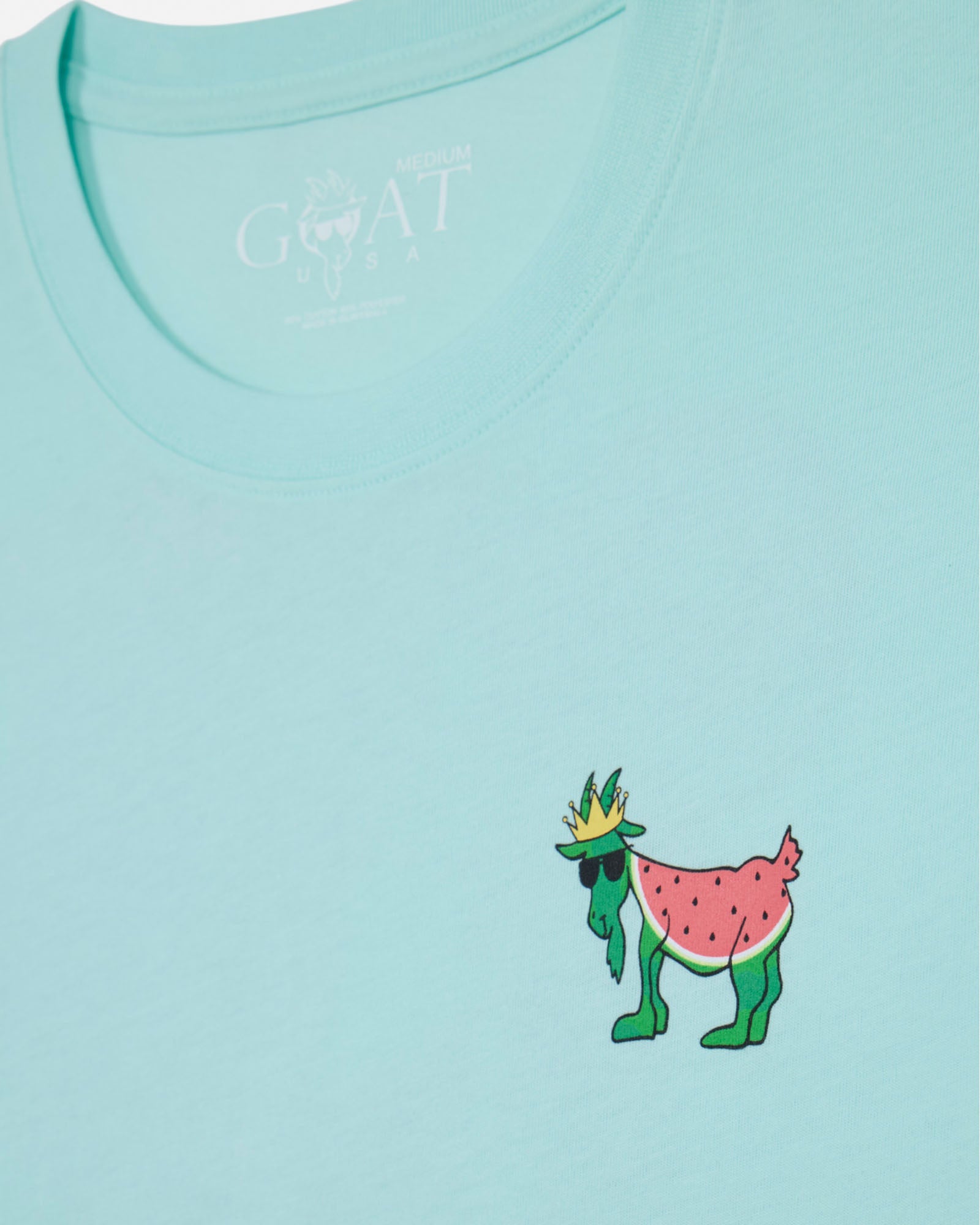 Light green t-shirt with a cartoon character as a watermelon on a white background