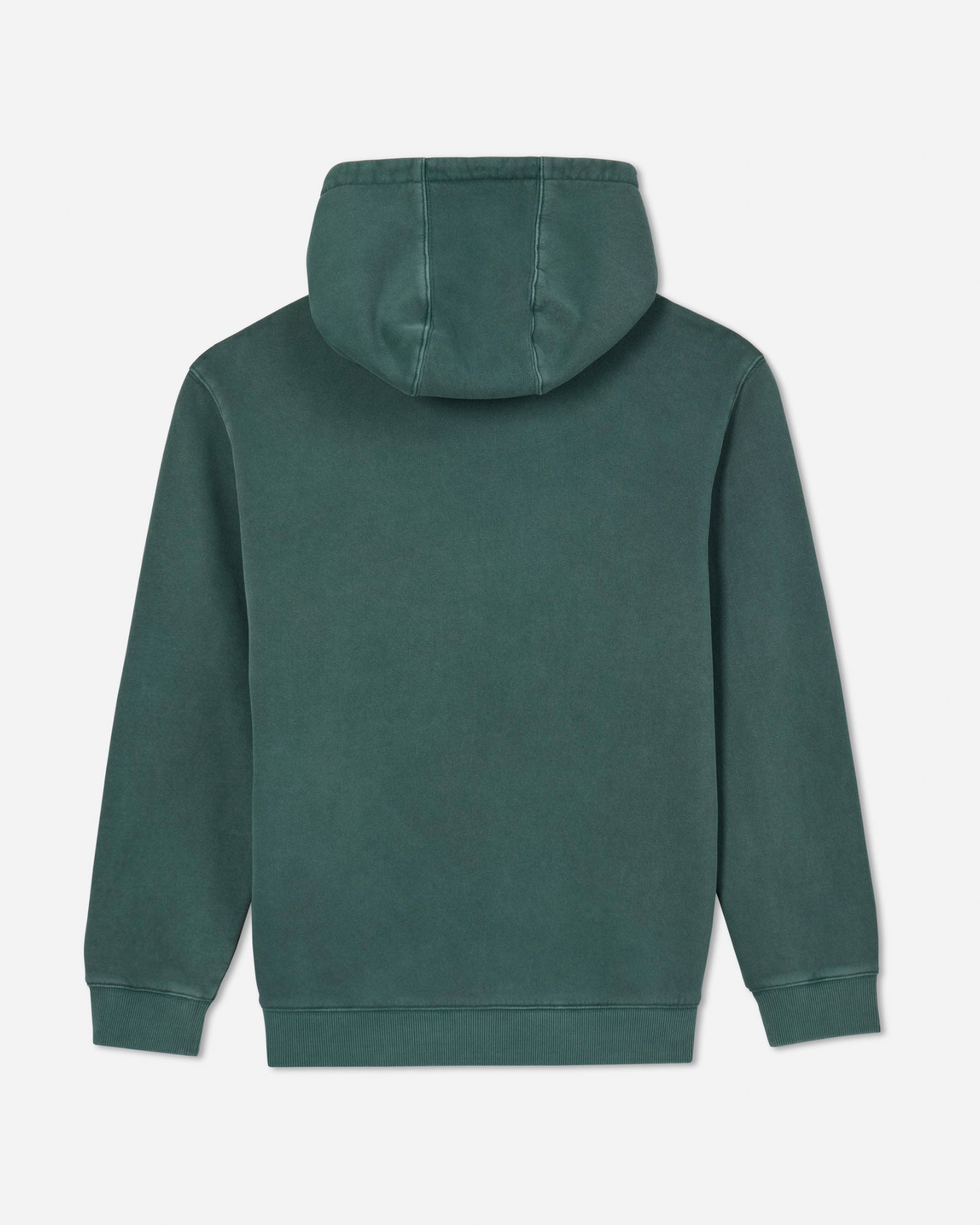 Back of alpine Linden Hooded Sweatshirt#color_alpine