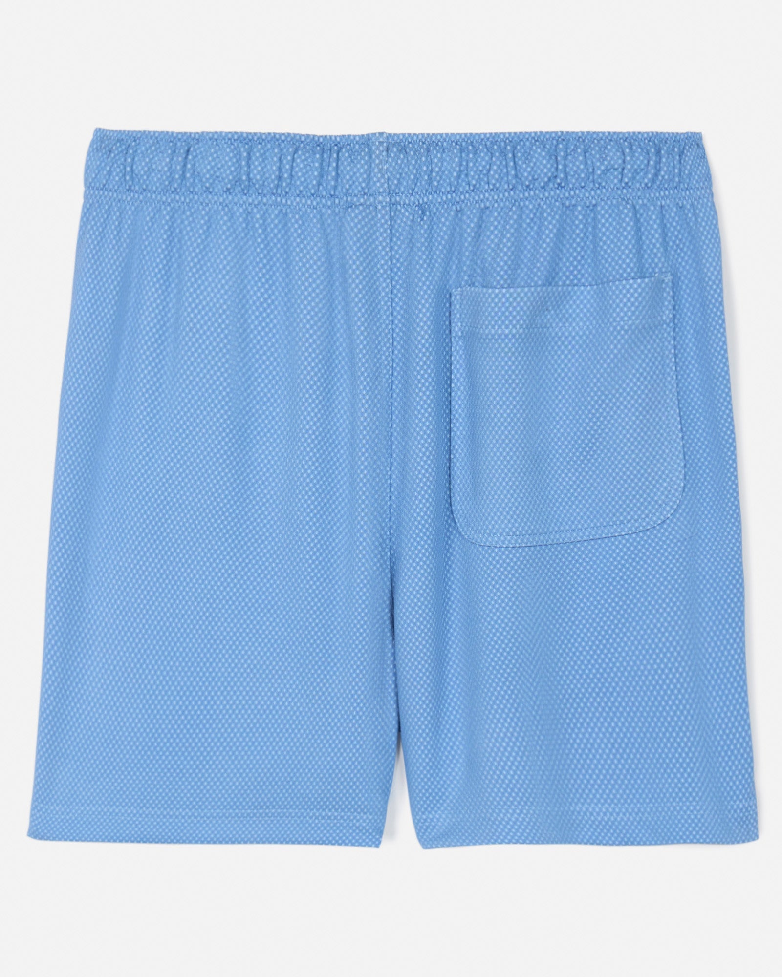 Back of carolina blue men's dot mesh shorts#color_carolina-blue