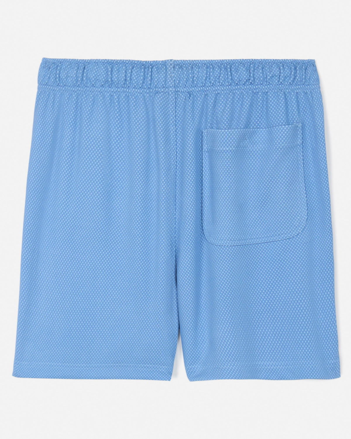 Back of carolina blue men's dot mesh shorts
