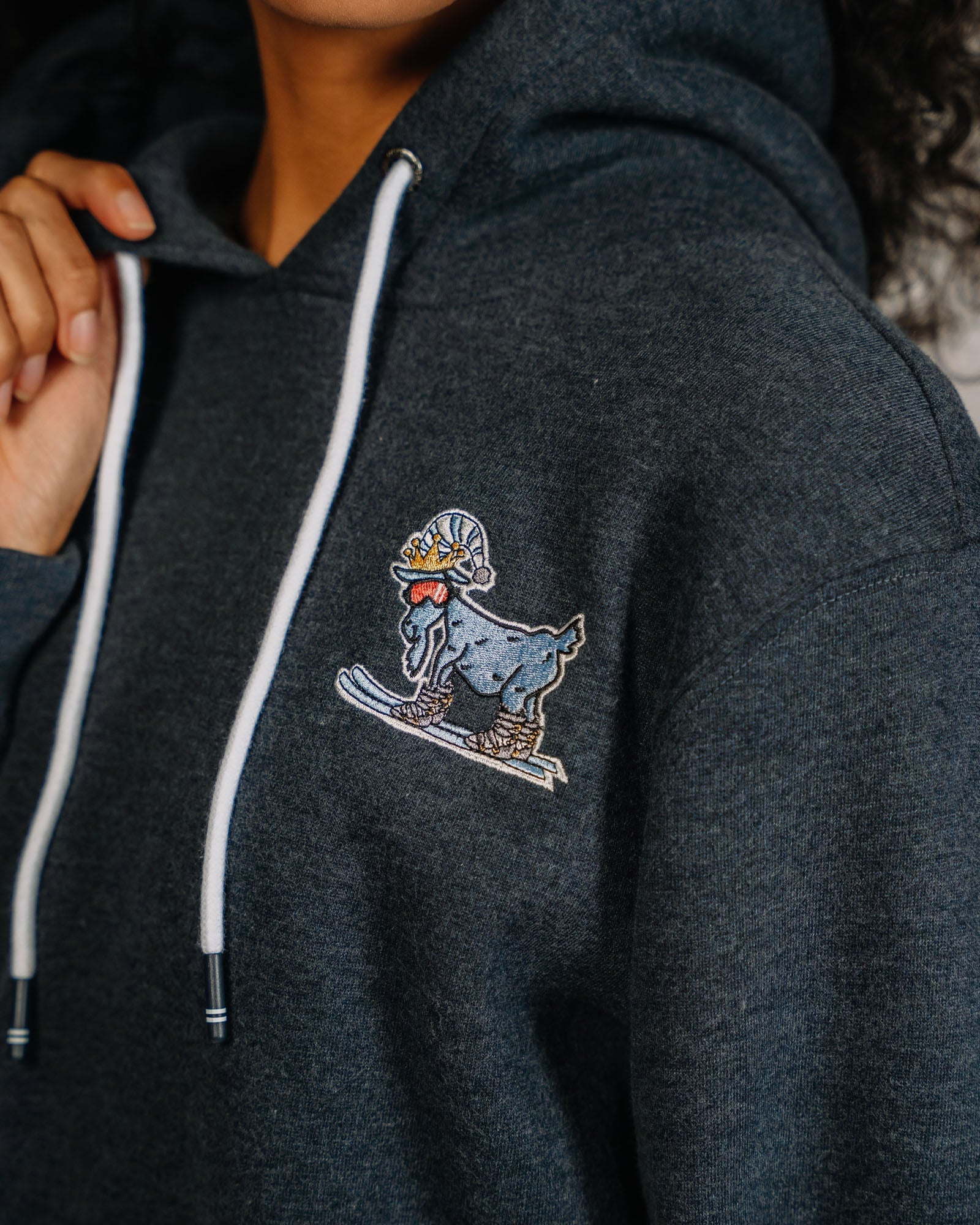 Close-up of skiing goat