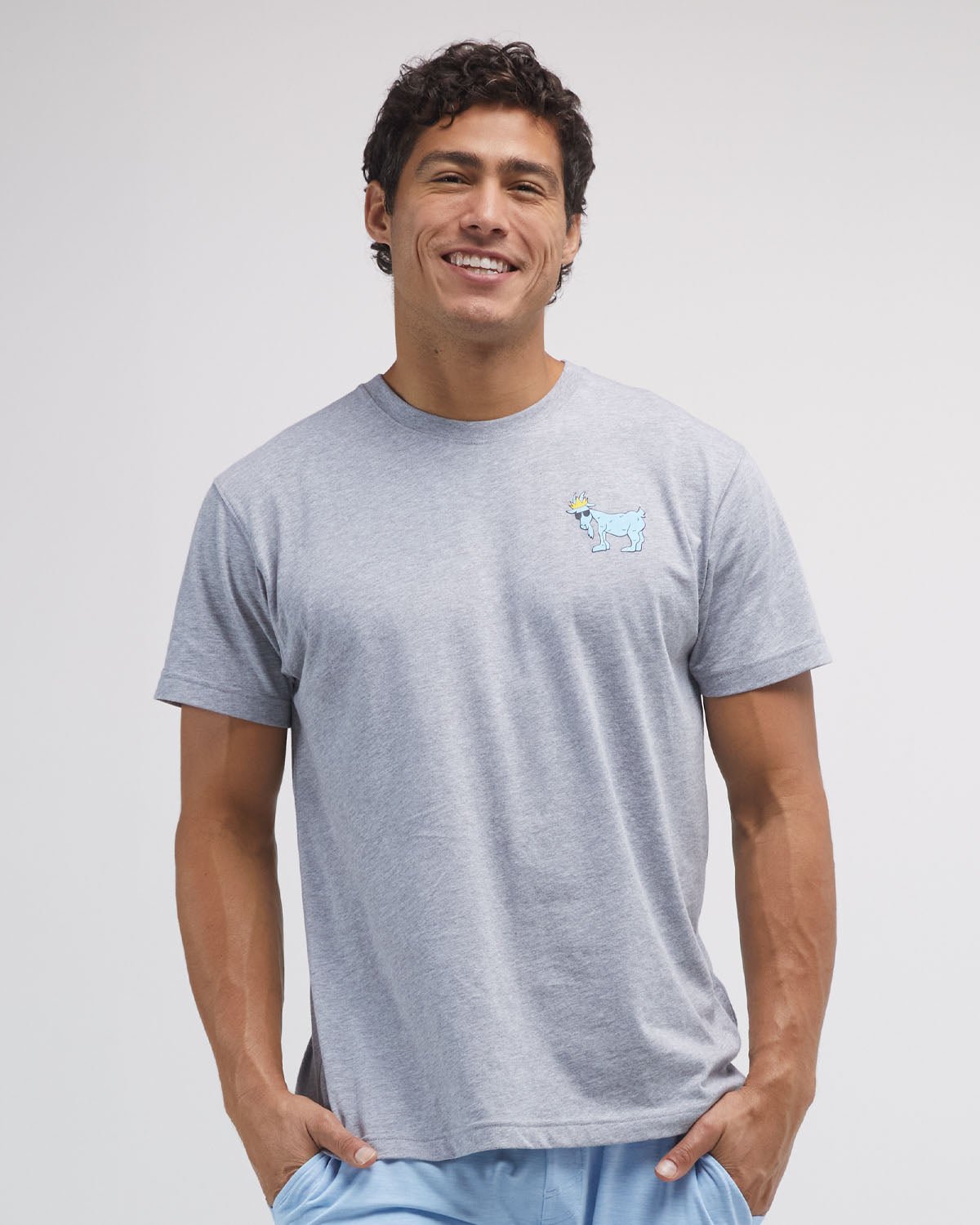 person wearing gray OG T-Shirt#color_gray