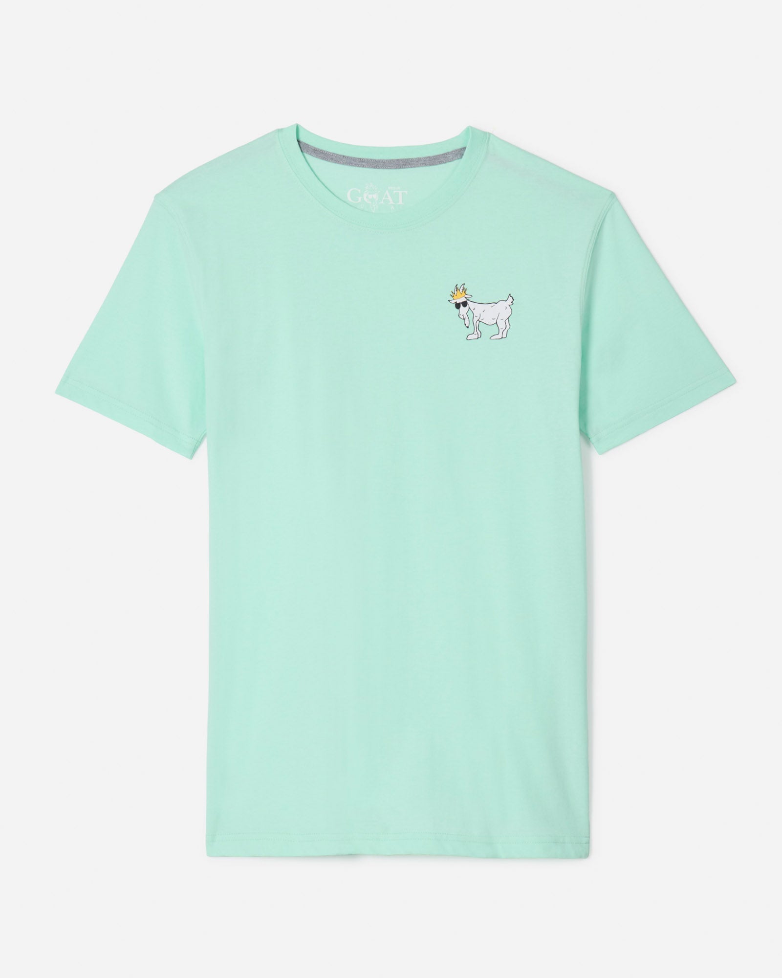Front of mint WG T-Shirt#color_mint