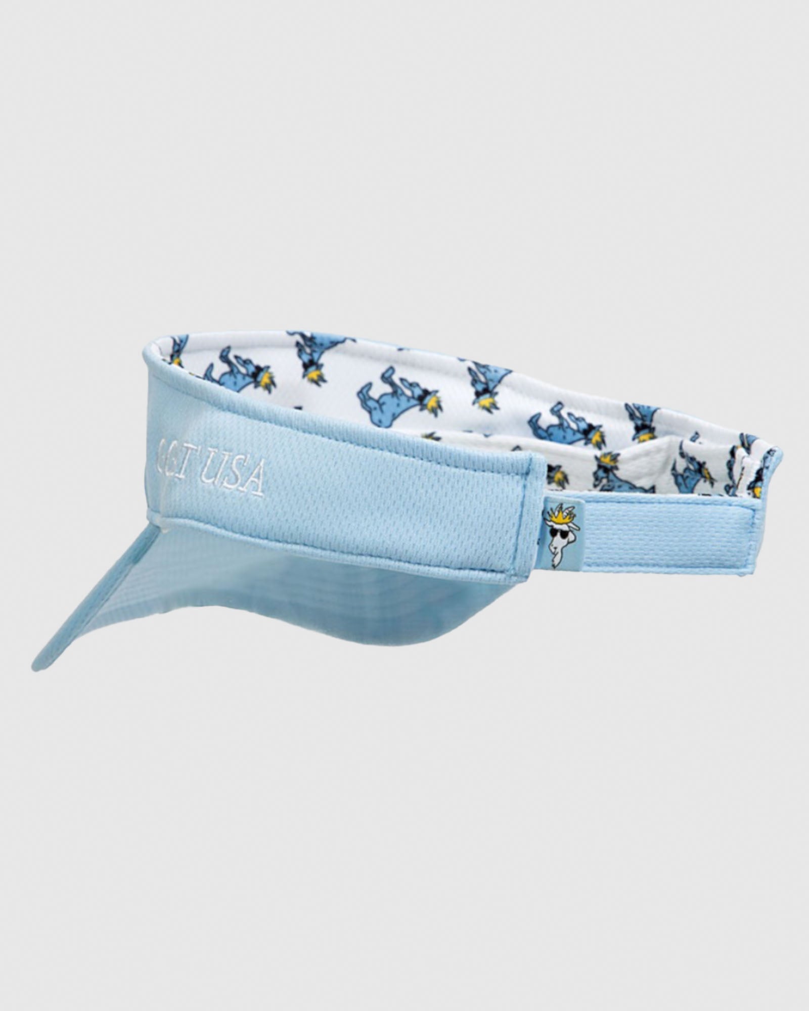 View from backside of carolina blue OG Visor#color_carolina-blue