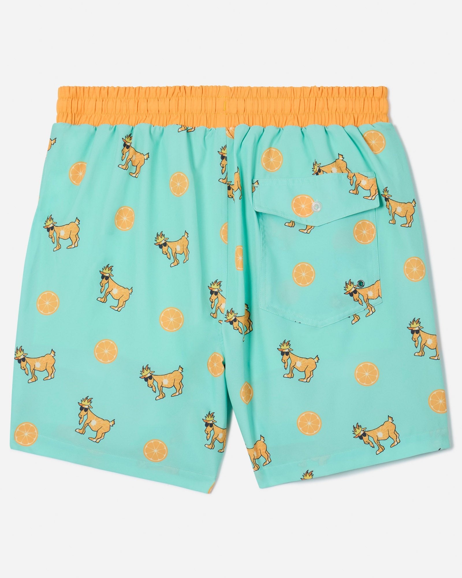 Back of Orange (fruit) bathing suit