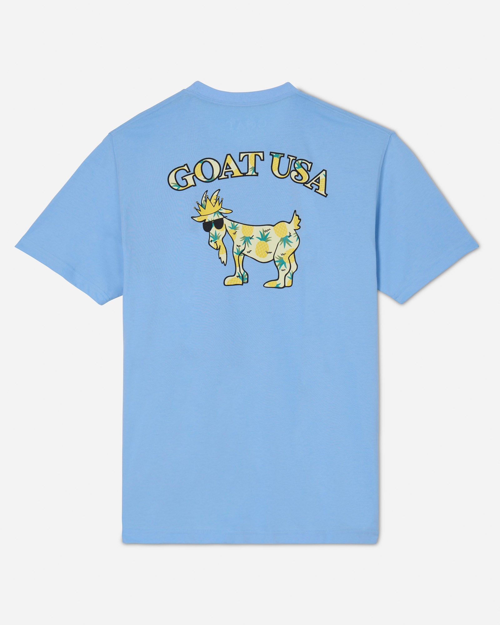 Back of carolina blue Pineapple T-Shirt#color_carolina-blue