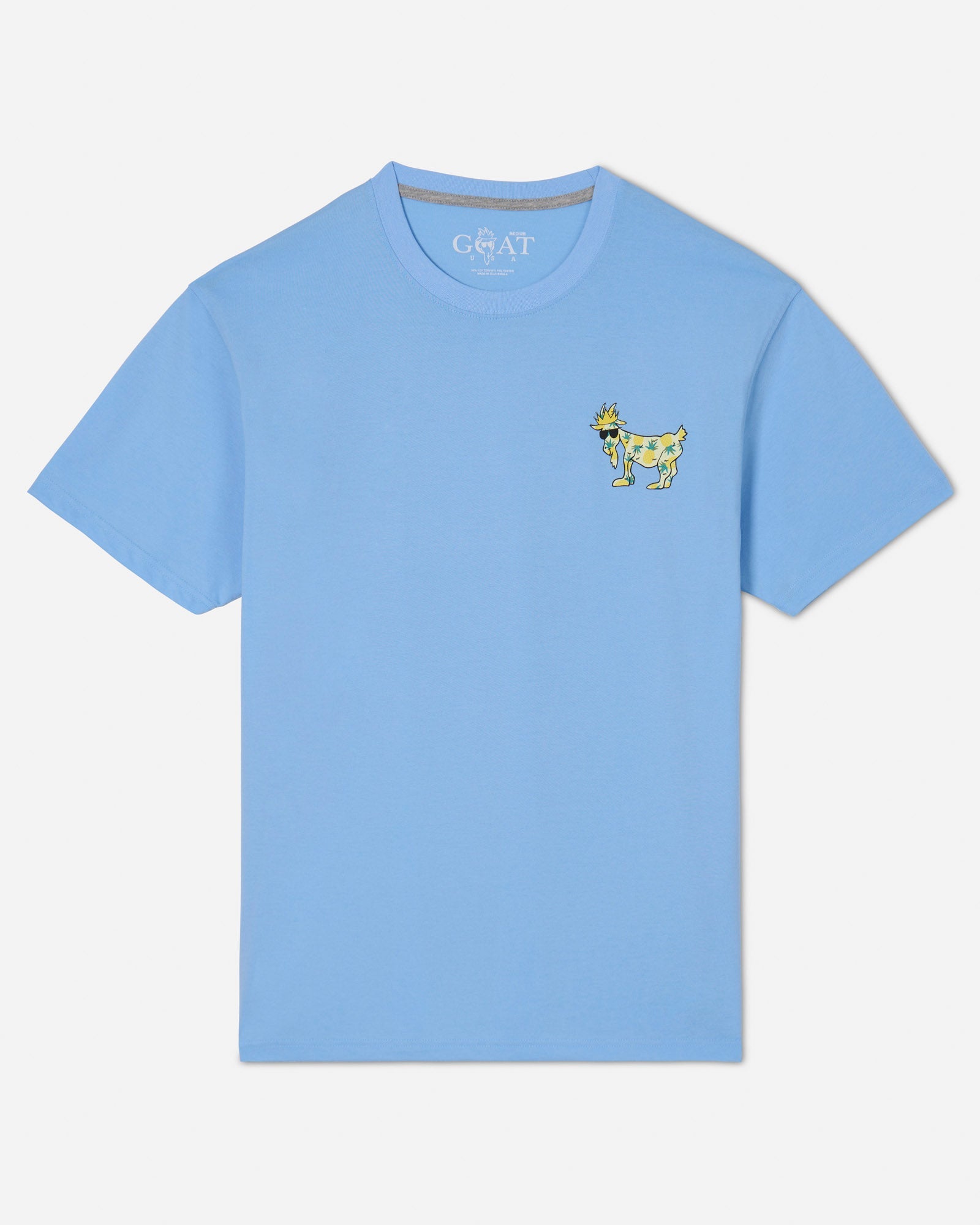 Front of carolina blue Pineapple T-Shirt#color_carolina-blue