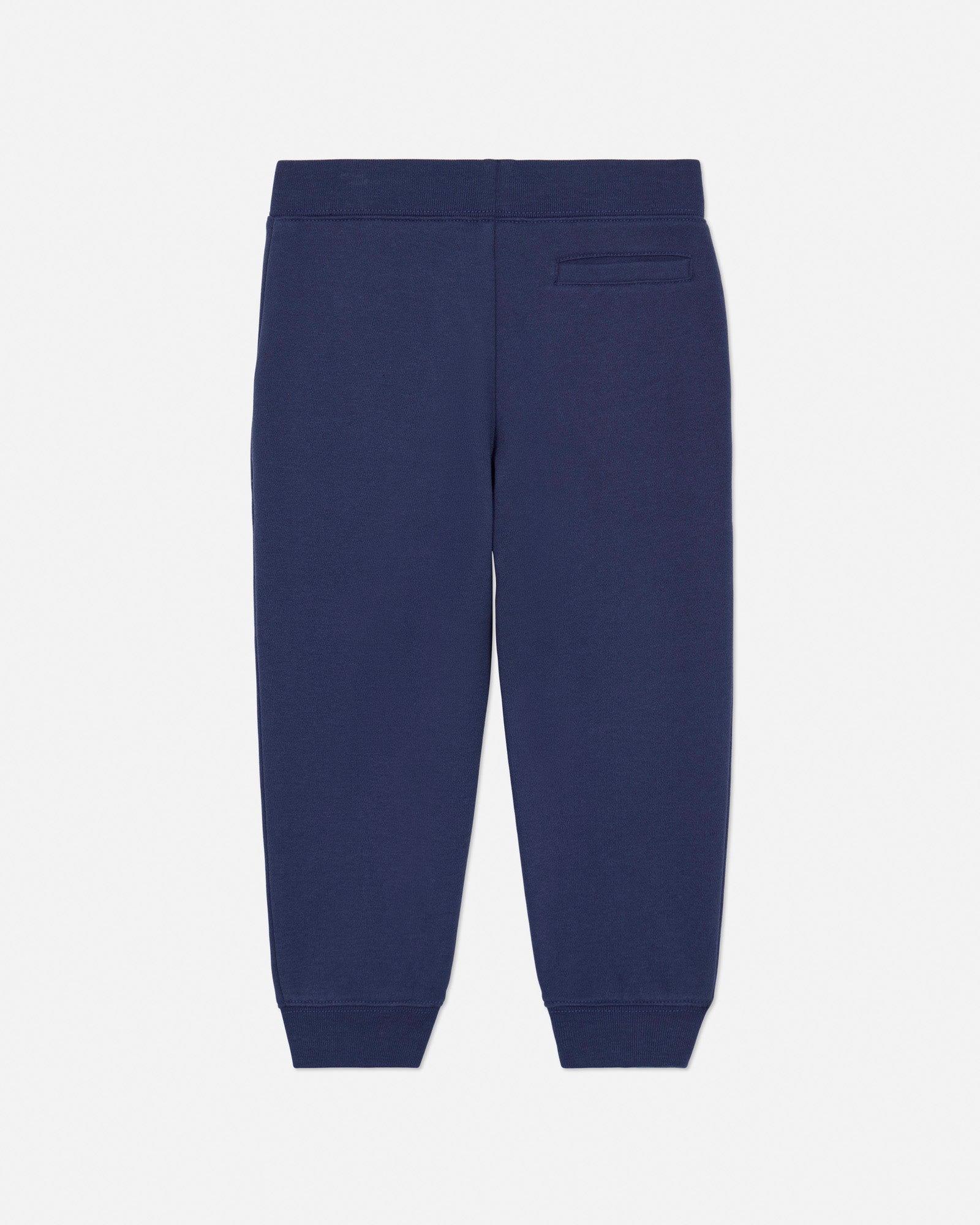 Navy blue sweatpants on a white background#color_navy
