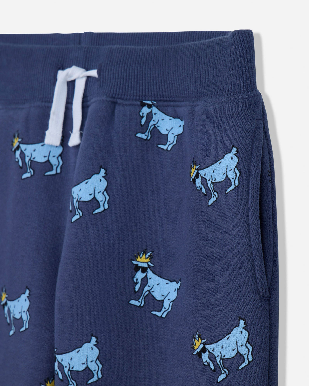 Close-up of navy sweatpants with blue goats