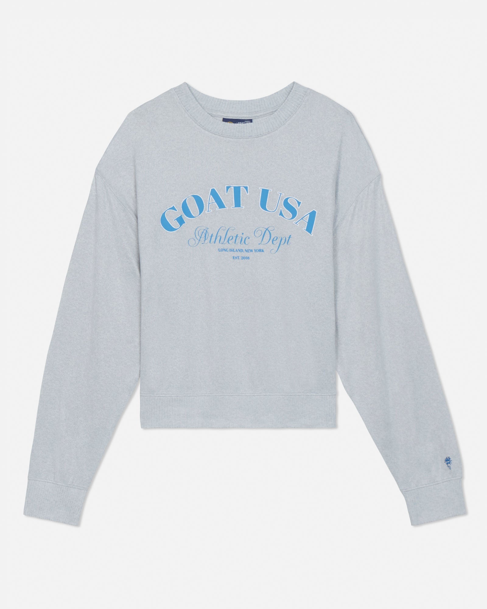 Light gray sweatshirt with blue text on a light gray background